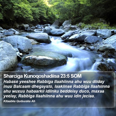 Sharciga Kunoqoshadiisa 23:5 SOM Bible Verse Image