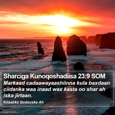 Sharciga Kunoqoshadiisa 23:9 SOM Bible Verse Image
