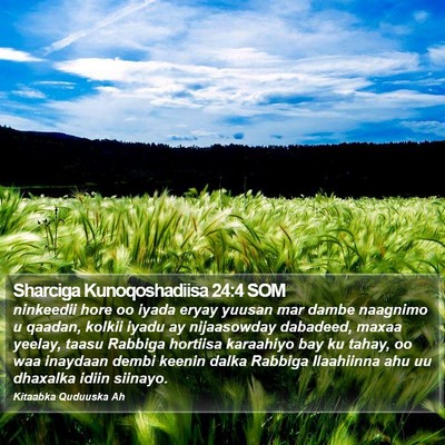Sharciga Kunoqoshadiisa 24:4 SOM Bible Verse Image