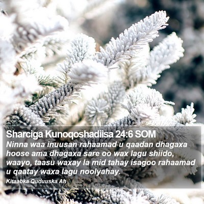 Sharciga Kunoqoshadiisa 24:6 SOM Bible Verse Image