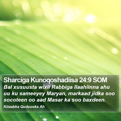 Sharciga Kunoqoshadiisa 24:9 SOM Bible Verse Image