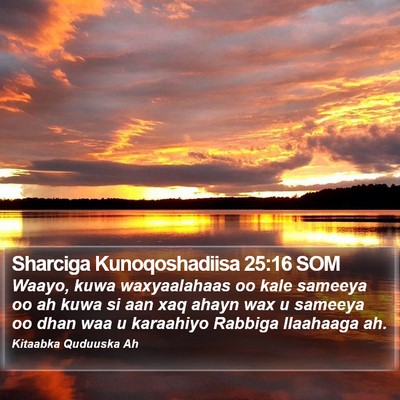 Sharciga Kunoqoshadiisa 25:16 SOM Bible Verse Image