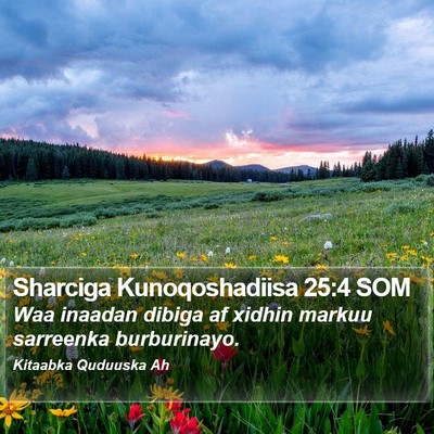Sharciga Kunoqoshadiisa 25:4 SOM Bible Verse Image