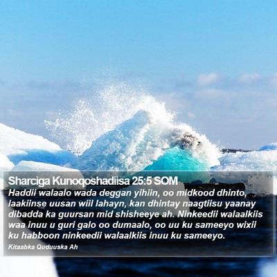 Sharciga Kunoqoshadiisa 25:5 SOM Bible Verse Image