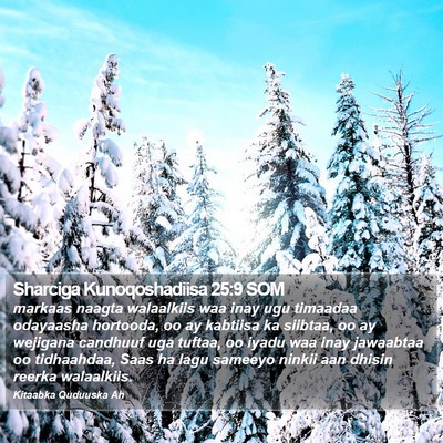Sharciga Kunoqoshadiisa 25:9 SOM Bible Verse Image