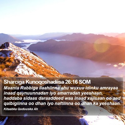 Sharciga Kunoqoshadiisa 26:16 SOM Bible Verse Image