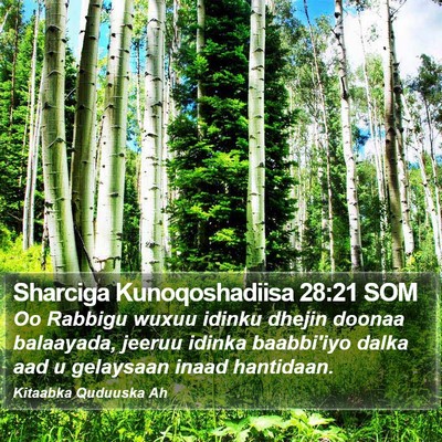 Sharciga Kunoqoshadiisa 28:21 SOM Bible Verse Image