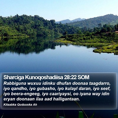 Sharciga Kunoqoshadiisa 28:22 SOM Bible Verse Image