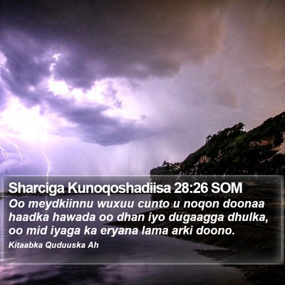 Sharciga Kunoqoshadiisa 28:26 SOM Bible Verse Image