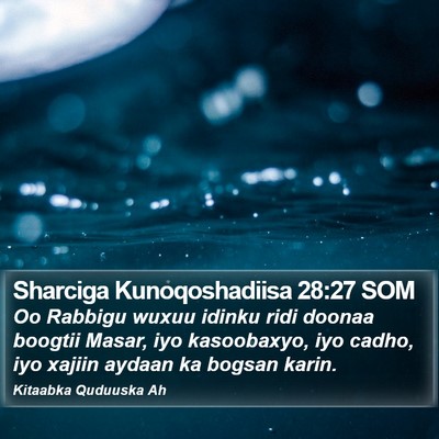 Sharciga Kunoqoshadiisa 28:27 SOM Bible Verse Image