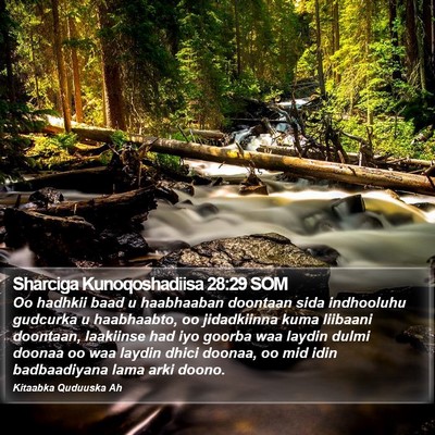 Sharciga Kunoqoshadiisa 28:29 SOM Bible Verse Image