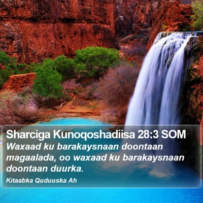 Sharciga Kunoqoshadiisa 28:3 SOM Bible Verse Image