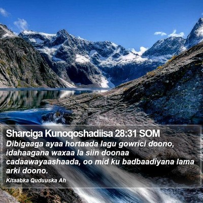 Sharciga Kunoqoshadiisa 28:31 SOM Bible Verse Image