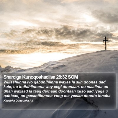 Sharciga Kunoqoshadiisa 28:32 SOM Bible Verse Image