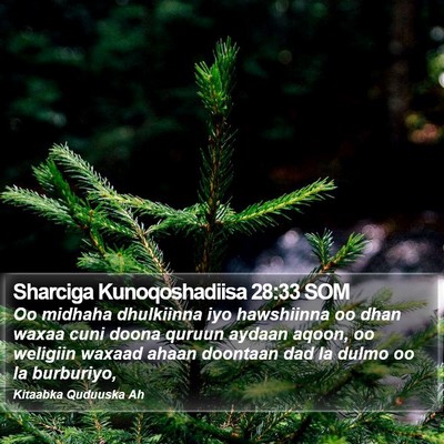 Sharciga Kunoqoshadiisa 28:33 SOM Bible Verse Image
