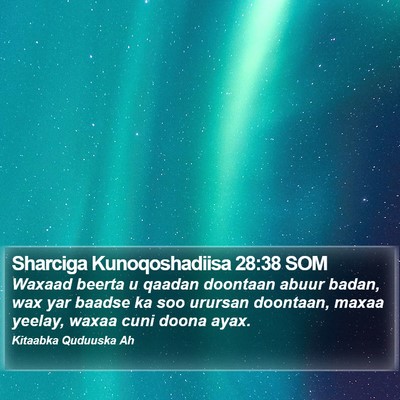 Sharciga Kunoqoshadiisa 28:38 SOM Bible Verse Image