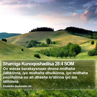 Sharciga Kunoqoshadiisa 28:4 SOM Bible Verse Image