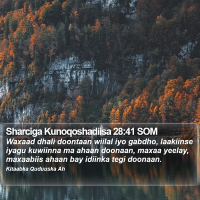 Sharciga Kunoqoshadiisa 28:41 SOM Bible Verse Image
