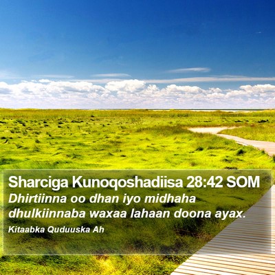 Sharciga Kunoqoshadiisa 28:42 SOM Bible Verse Image