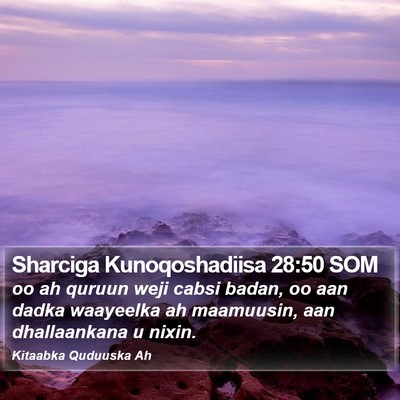Sharciga Kunoqoshadiisa 28:50 SOM Bible Verse Image