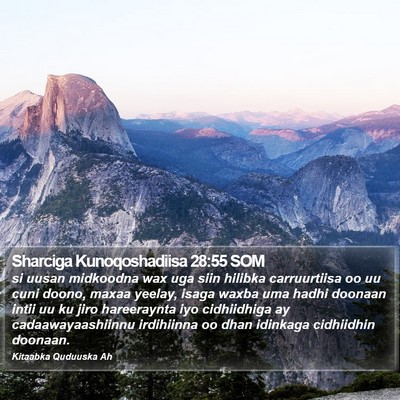 Sharciga Kunoqoshadiisa 28:55 SOM Bible Verse Image
