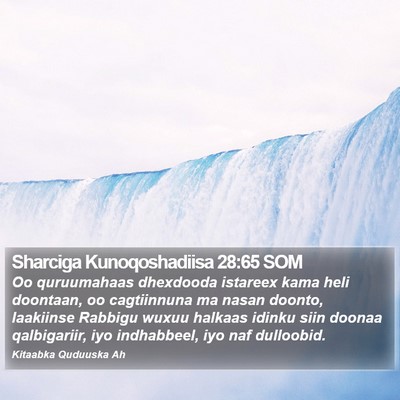 Sharciga Kunoqoshadiisa 28:65 SOM Bible Verse Image