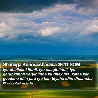 Sharciga Kunoqoshadiisa 29:11 SOM Bible Verse Image