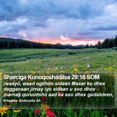 Sharciga Kunoqoshadiisa 29:16 SOM Bible Verse Image