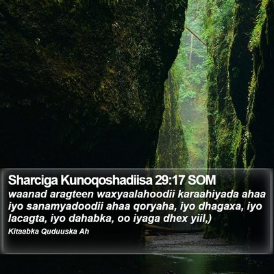 Sharciga Kunoqoshadiisa 29:17 SOM Bible Verse Image