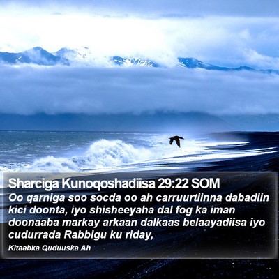 Sharciga Kunoqoshadiisa 29:22 SOM Bible Verse Image