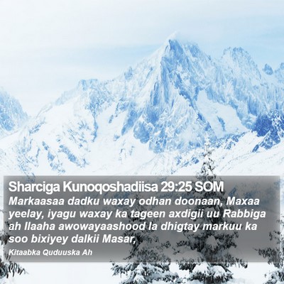 Sharciga Kunoqoshadiisa 29:25 SOM Bible Verse Image