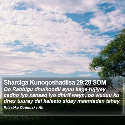 Sharciga Kunoqoshadiisa 29:28 SOM Bible Verse Image