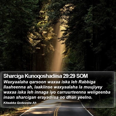 Sharciga Kunoqoshadiisa 29:29 SOM Bible Verse Image