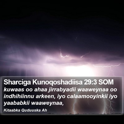Sharciga Kunoqoshadiisa 29:3 SOM Bible Verse Image