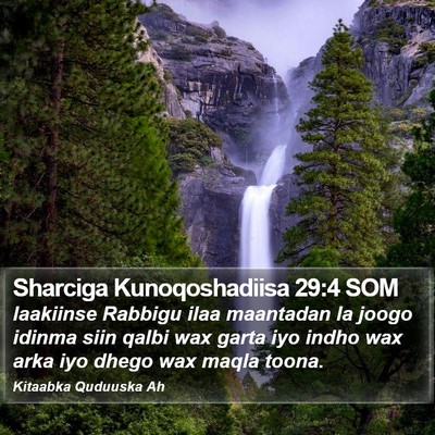 Sharciga Kunoqoshadiisa 29:4 SOM Bible Verse Image