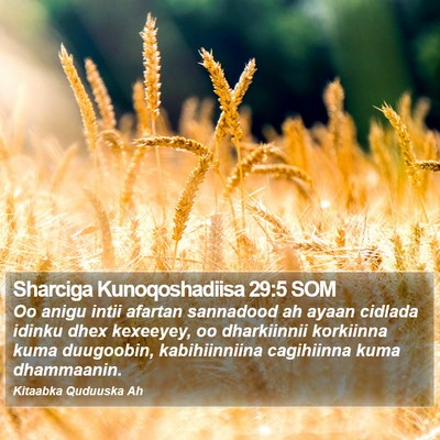 Sharciga Kunoqoshadiisa 29:5 SOM Bible Verse Image