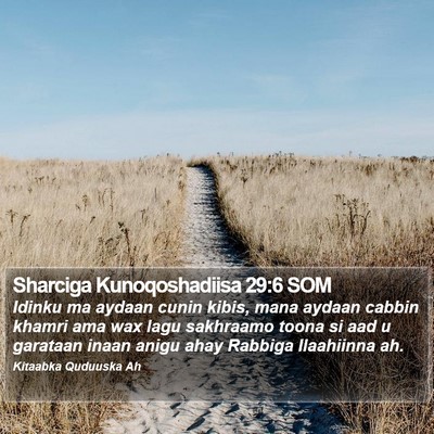 Sharciga Kunoqoshadiisa 29:6 SOM Bible Verse Image