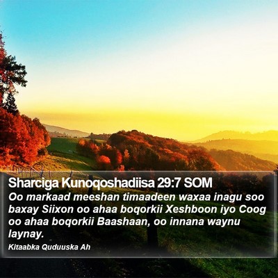 Sharciga Kunoqoshadiisa 29:7 SOM Bible Verse Image