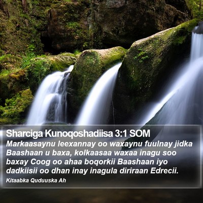 Sharciga Kunoqoshadiisa 3:1 SOM Bible Verse Image