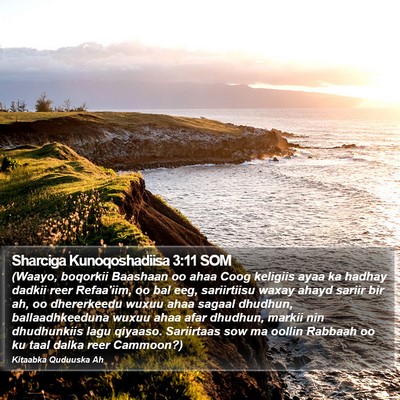 Sharciga Kunoqoshadiisa 3:11 SOM Bible Verse Image