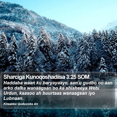Sharciga Kunoqoshadiisa 3:25 SOM Bible Verse Image