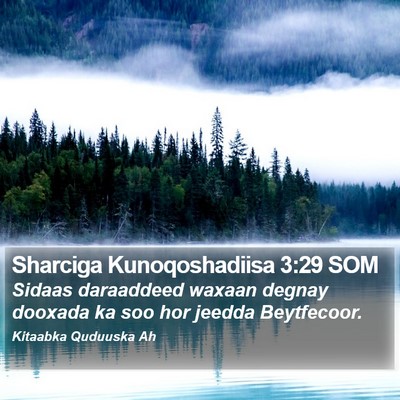 Sharciga Kunoqoshadiisa 3:29 SOM Bible Verse Image