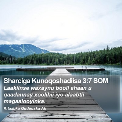 Sharciga Kunoqoshadiisa 3:7 SOM Bible Verse Image