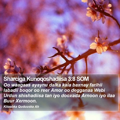 Sharciga Kunoqoshadiisa 3:8 SOM Bible Verse Image