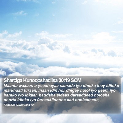 Sharciga Kunoqoshadiisa 30:19 SOM Bible Verse Image