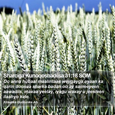 Sharciga Kunoqoshadiisa 31:18 SOM Bible Verse Image