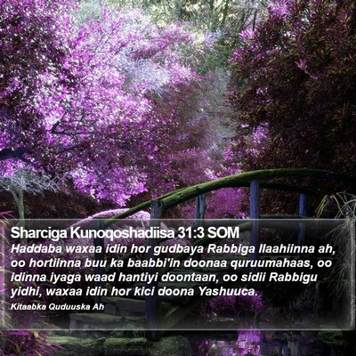 Sharciga Kunoqoshadiisa 31:3 SOM Bible Verse Image