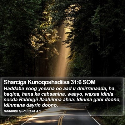 Sharciga Kunoqoshadiisa 31:6 SOM Bible Verse Image