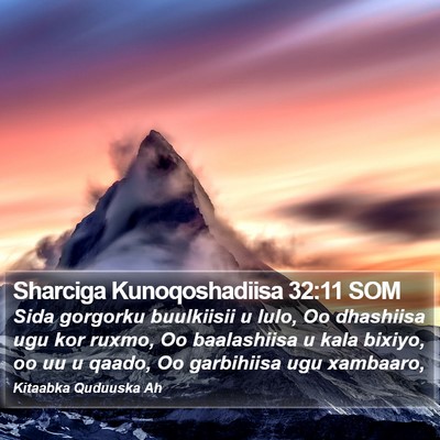 Sharciga Kunoqoshadiisa 32:11 SOM Bible Verse Image