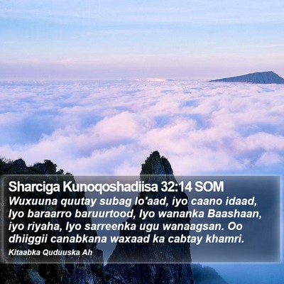 Sharciga Kunoqoshadiisa 32:14 SOM Bible Verse Image